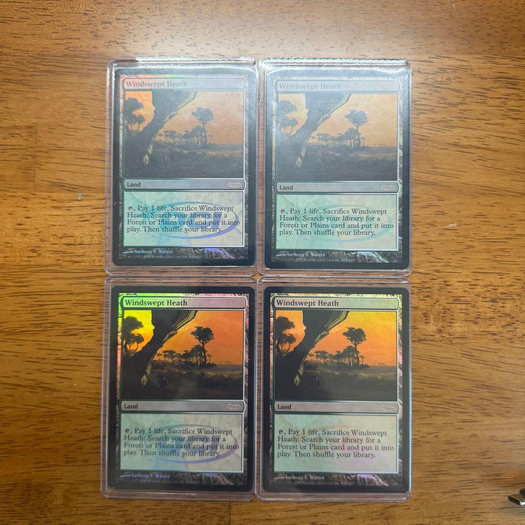 吹きさらしの荒野 judge報酬 foil 4枚セット 吹きさらしの荒野 judge報酬 foil 4枚セット 吹きさらしの荒野 judge