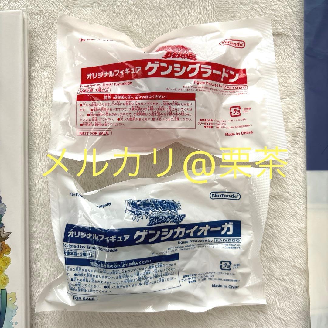 ポケモンORAS】ポケモンセンター限定購入特典 ニューホウエンアート