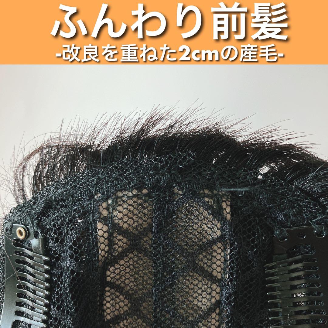 人毛100% ウィッグ ヘアピース ブラック 部分ウィッグ ミディアム ボブ 黒