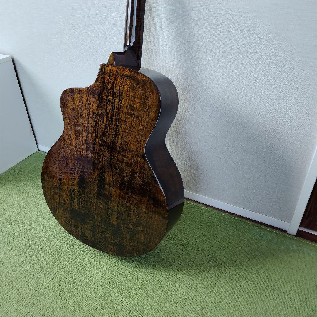 アコースティックギター Merida ギター / WAVE 純正ハードケース