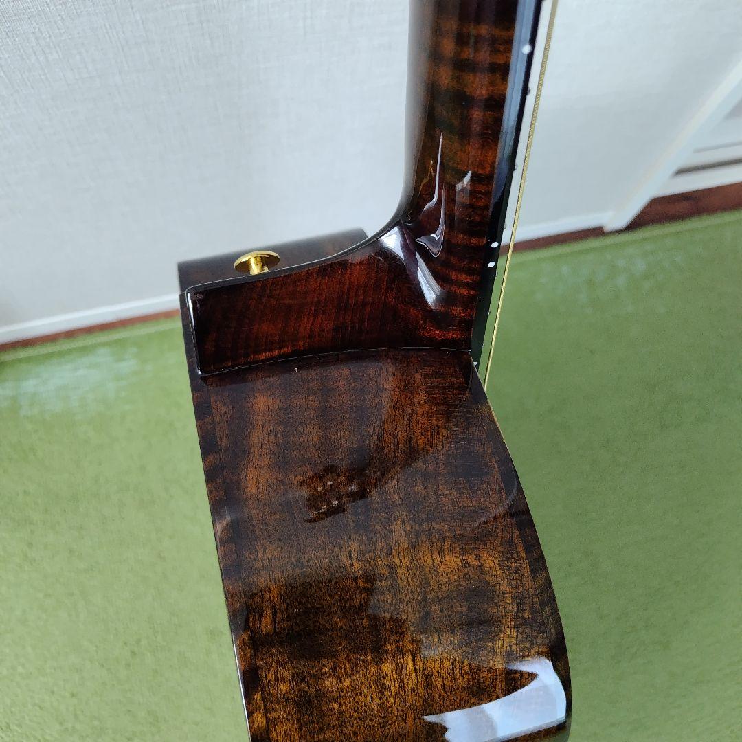 アコースティックギター Merida ギター / WAVE 純正ハードケース