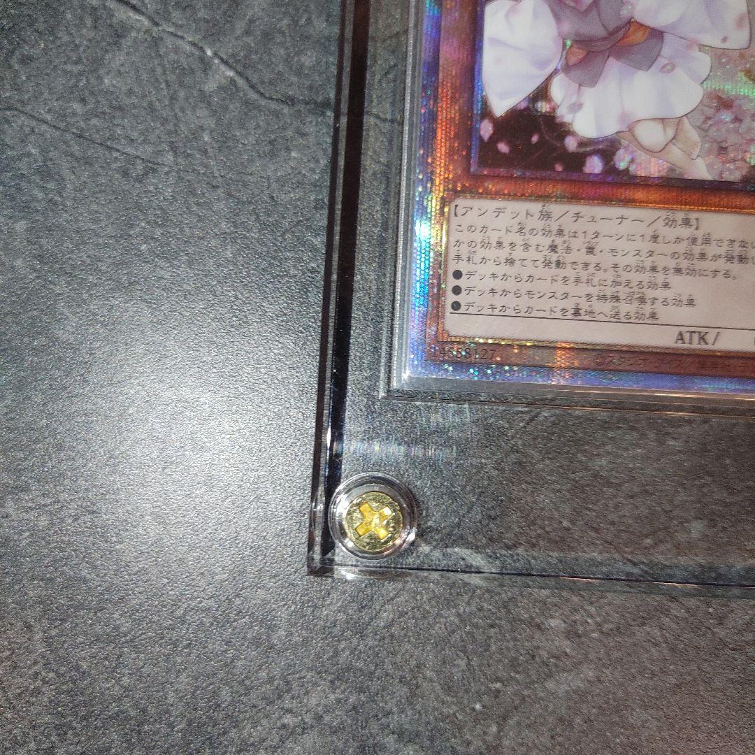 遊戯王　灰流うらら　プリズマ　ホログラムエラー　はるうらら