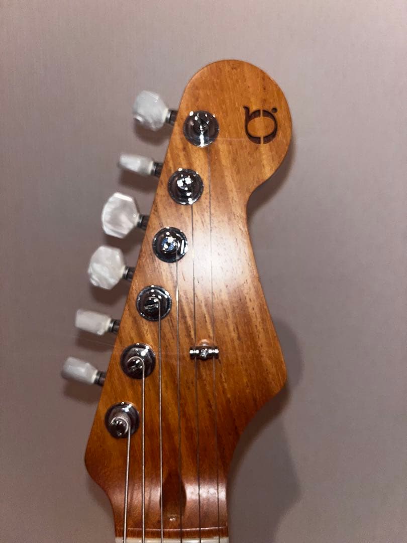 ギター BLACK CLOUD Custom Made Sigma SSH/TGM