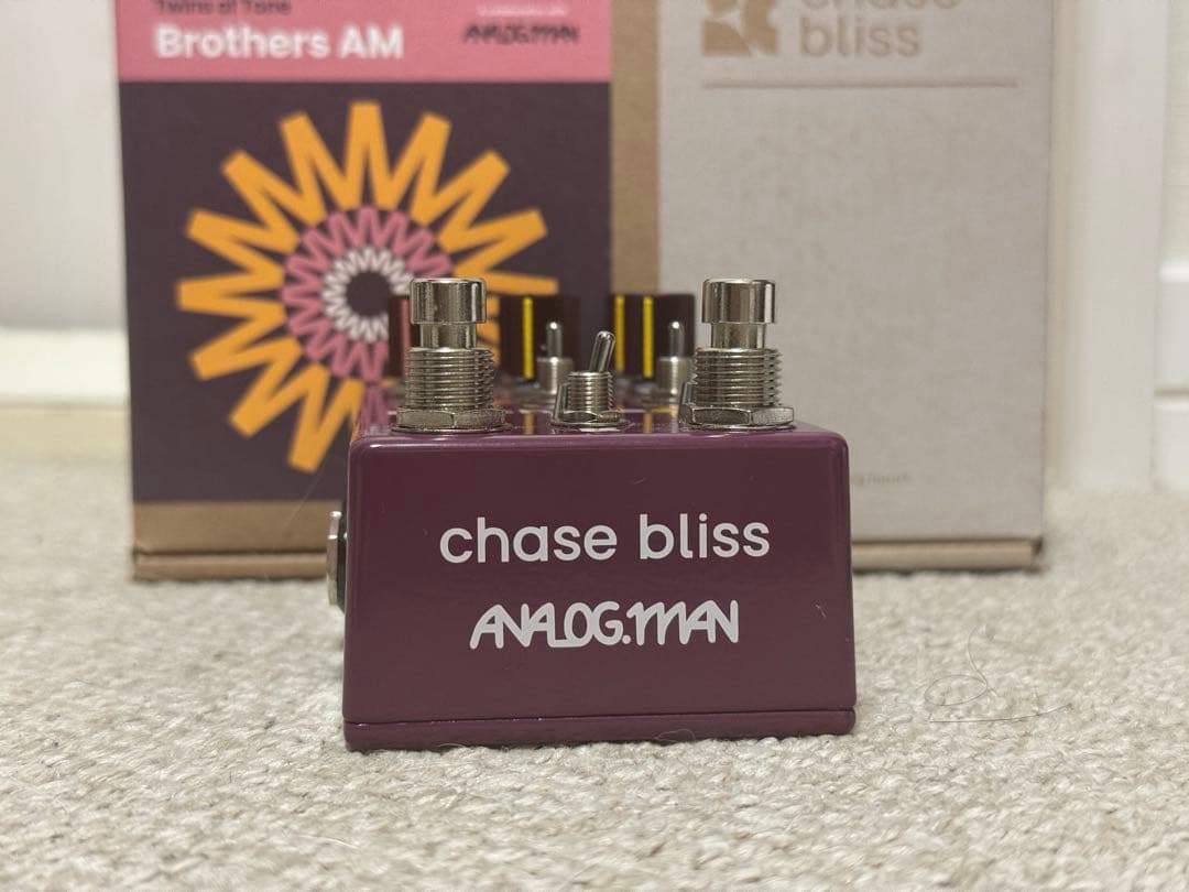 Chase Bliss Audio BROTHERS AM です。