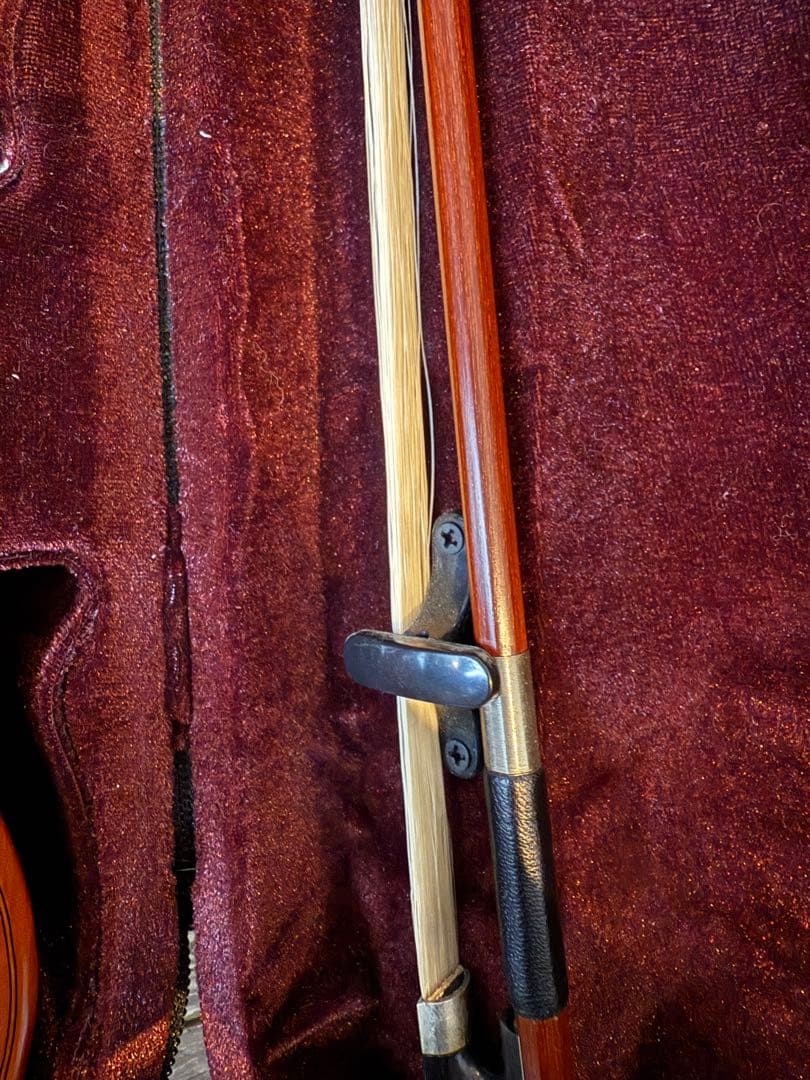 CARLO GIORDANO VS-2 4/4サイズ　バイオリン