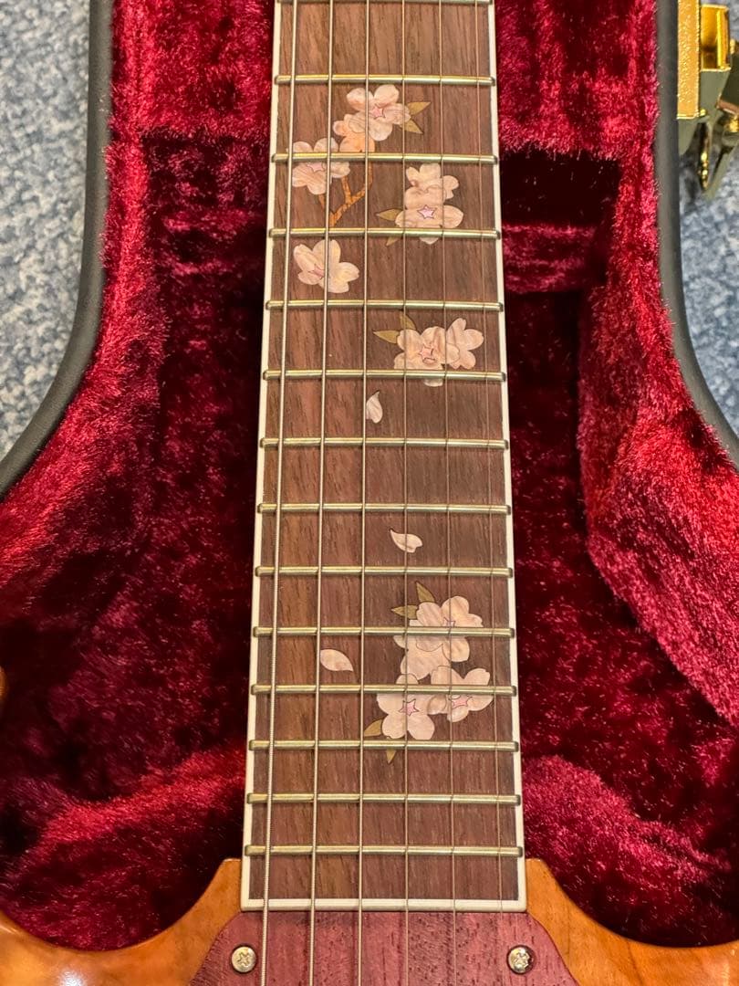 ギター momose MSG SAKURA SP 25 PH SKP GRD