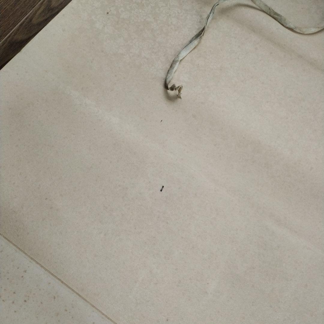 中国 掛け軸 山水画 秋林山居 中国骨董