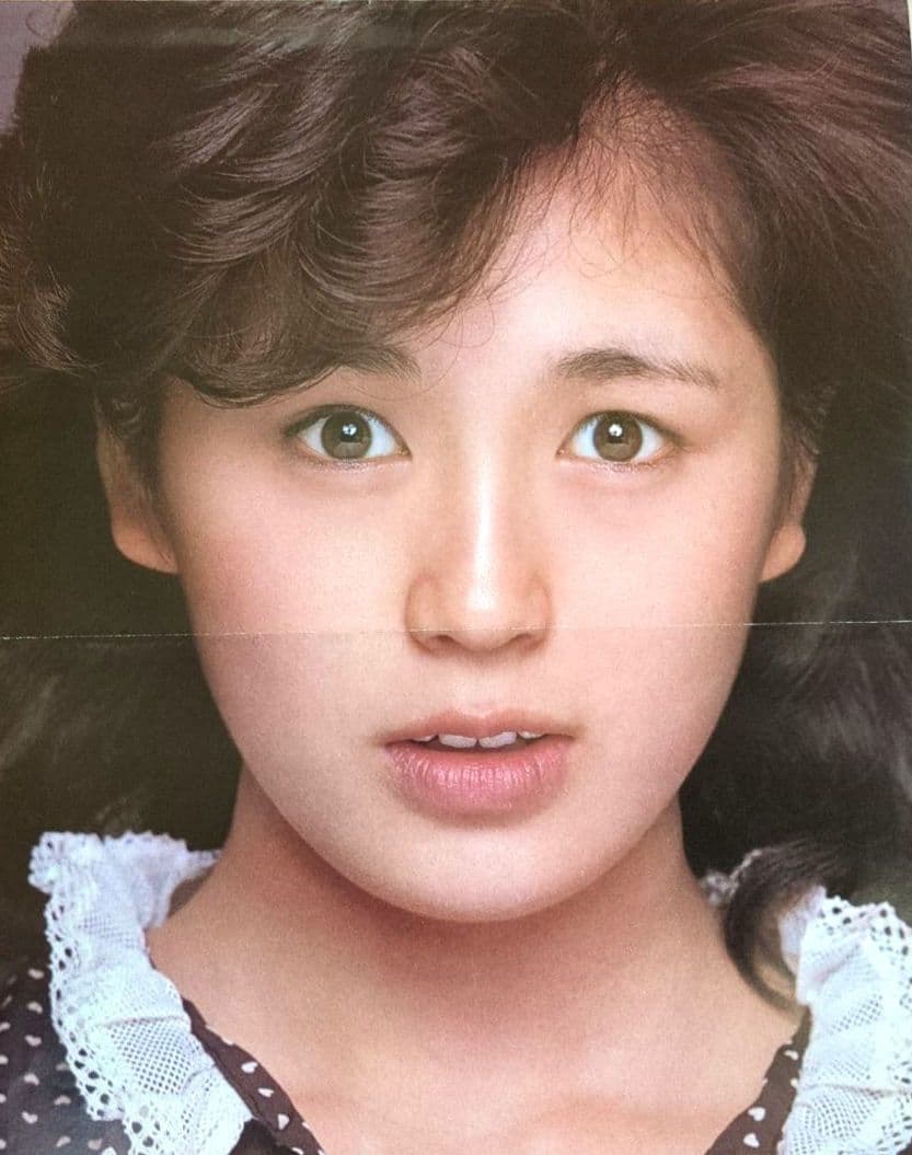 藤谷美和子 ＜ピンナップ両面ポスター＞【希少レア品 切り抜き