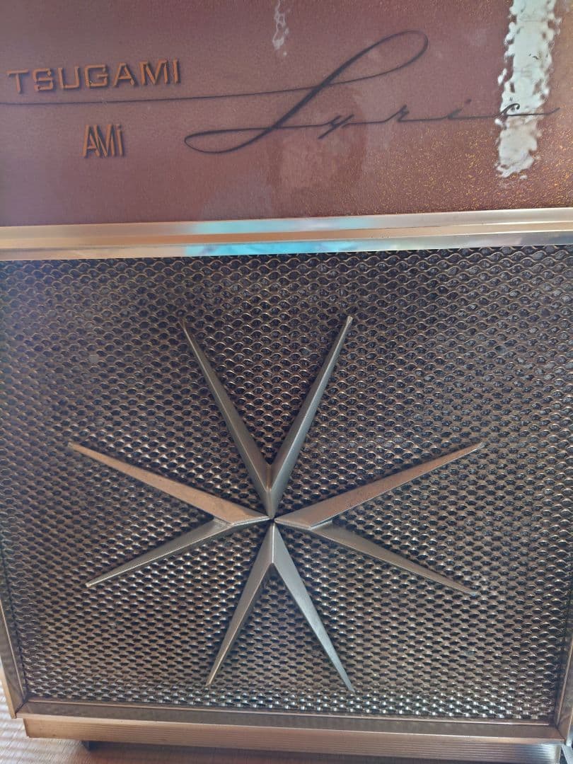 大幅お値下げです！ 1961年モデル AMI XJGA-100 〝LYRIC〟