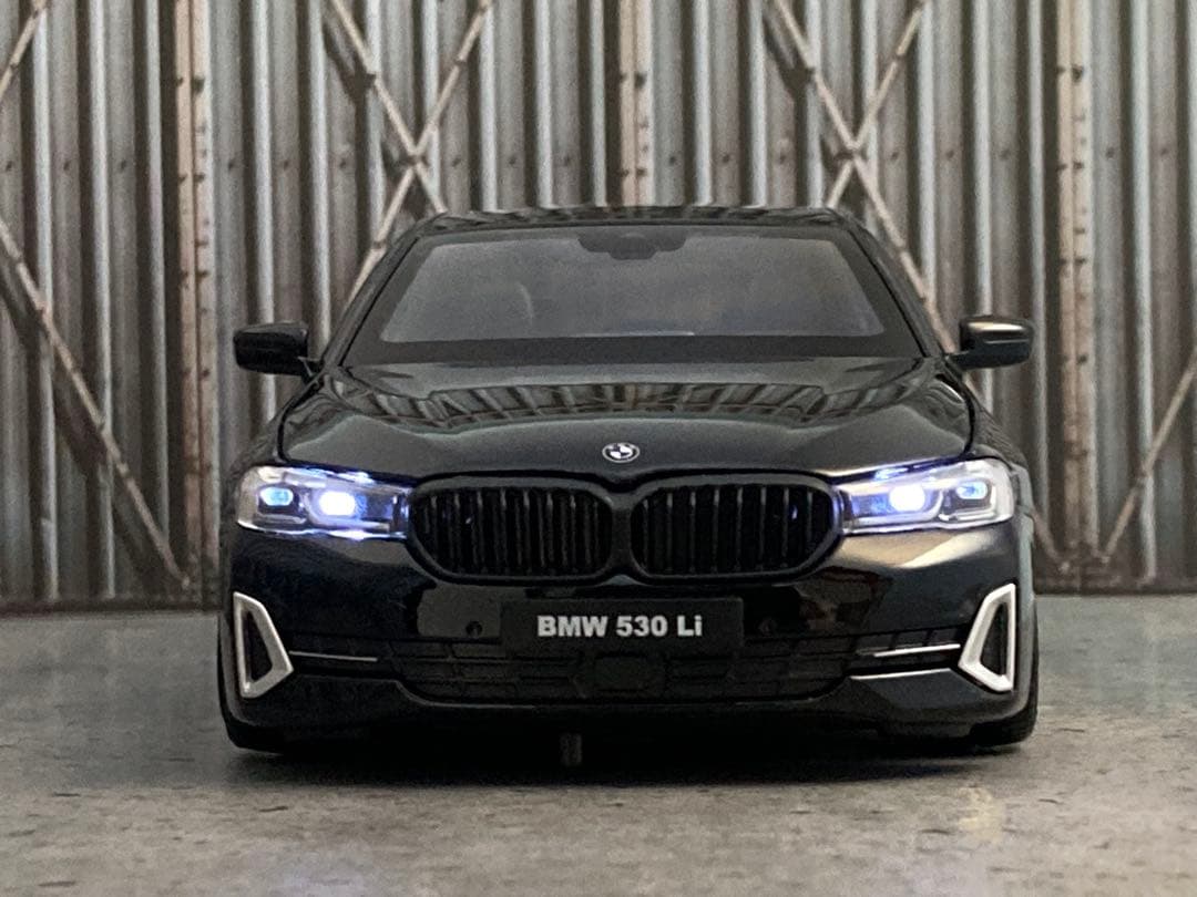 1/24 BMW530（カスタム品）