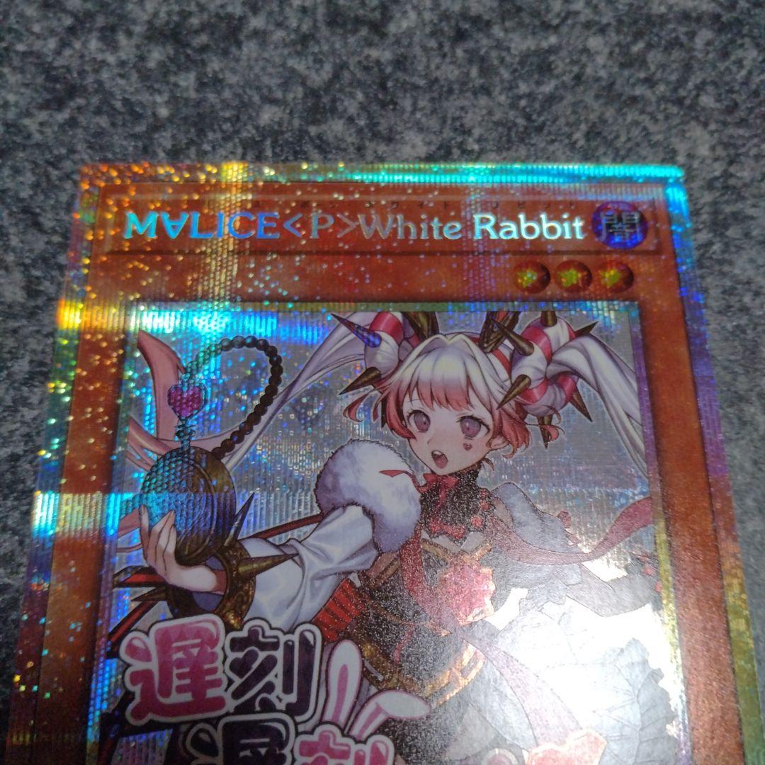 遊戯王 M∀LICE<P>WhiteRabbit ホワイトラビット プリシク Amazon.co.jp: 遊戯王カード DBCB-JP015 M∀LICE＜P＞White Rabbit