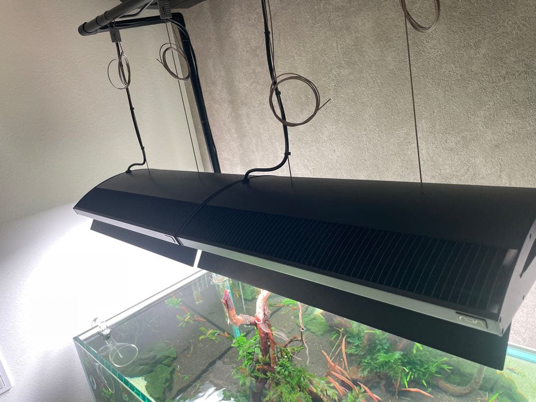 ADA ソーラーRGB リミテッドエディション ブラック 2台セット