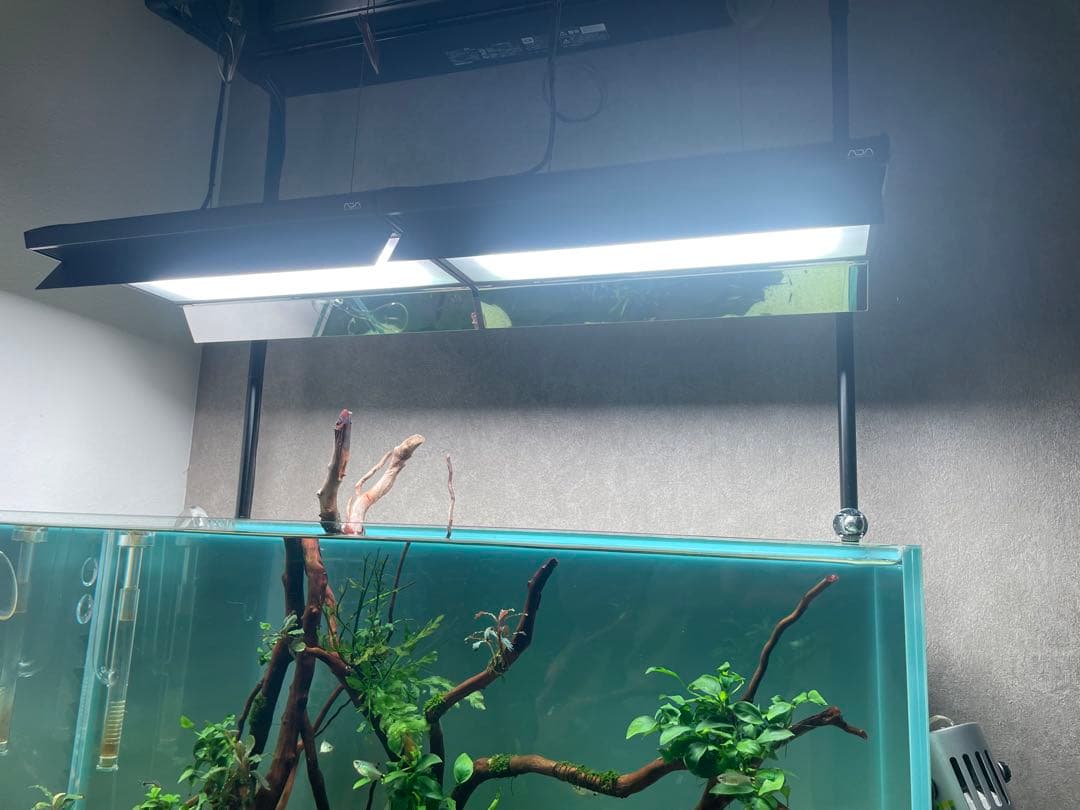 ADA ソーラーRGB リミテッドエディション ブラック 2台セット