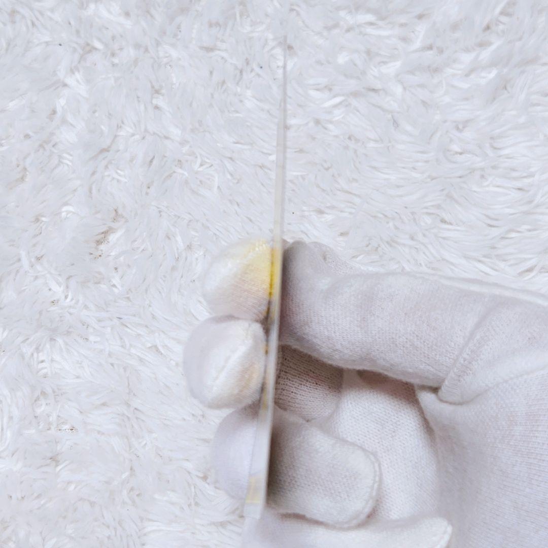 【漫才ごっこピカチュウ】ポケモンセンターオーサカDX オープン記念 おいかぜ