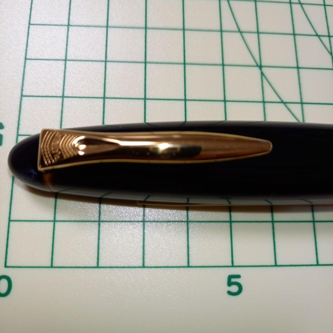 Platinum万年筆　出雲　枇杷溜