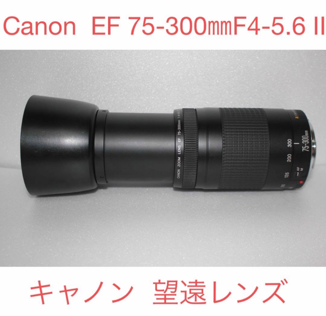 デジタル一眼レフカメラ　望遠レンズCanon EF75-300㎜ 望遠レンズ/デジタル一眼レフ/Canon EF75-300 F4-5.6 II EF75-300mm f