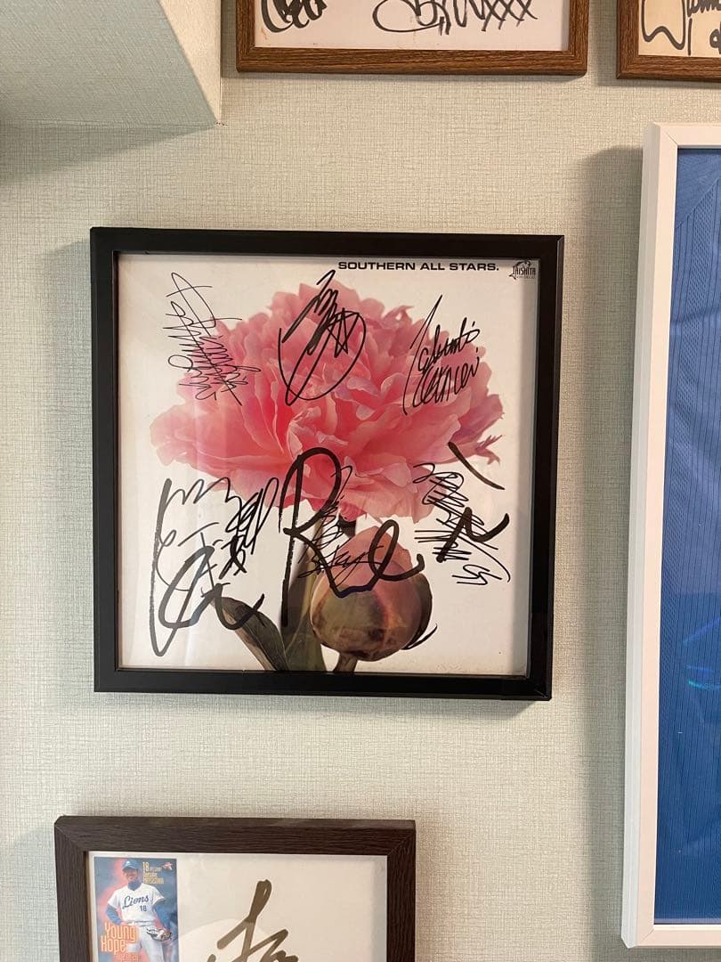 サザンオールスターズ☆サイン レコード 綺麗