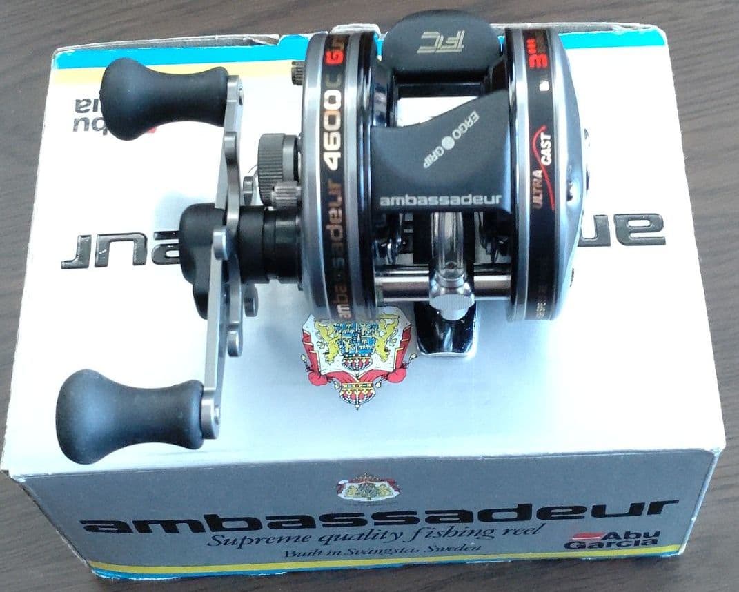 希少 樹齢150〜200年 杉枝 約143cm 鑑賞 庭 インテリア 骨董 華道