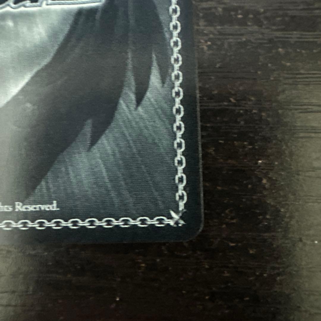 ws ヴァイスシュヴァルツ　精神的露出狂　アーリャ　sp サイン