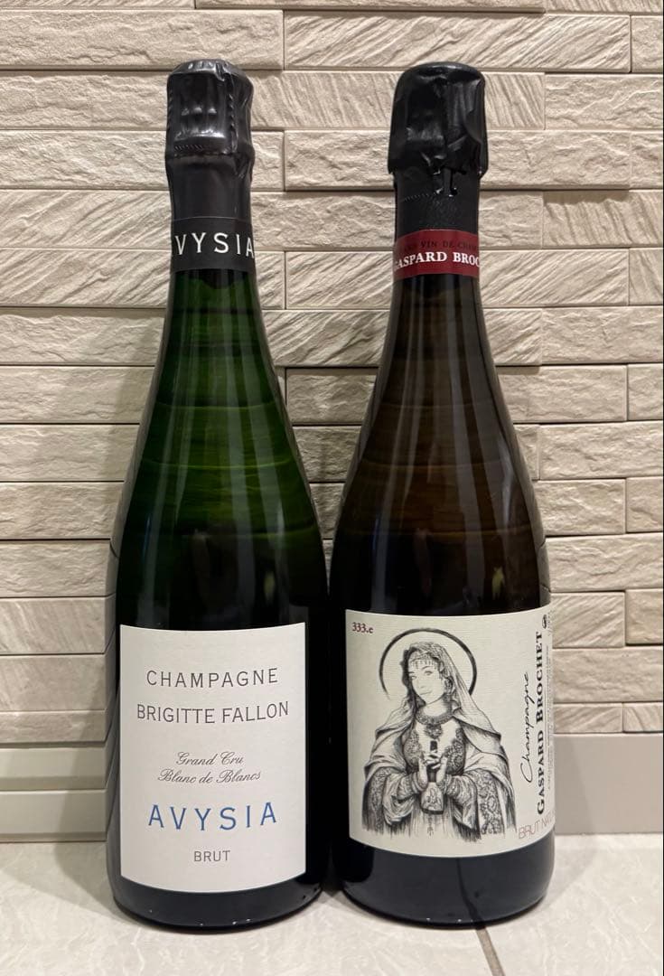 希少シャンパーニュ　2本セット 超希少‼️シャンパーニュ マグナム 2本セット シャンパン ダブル