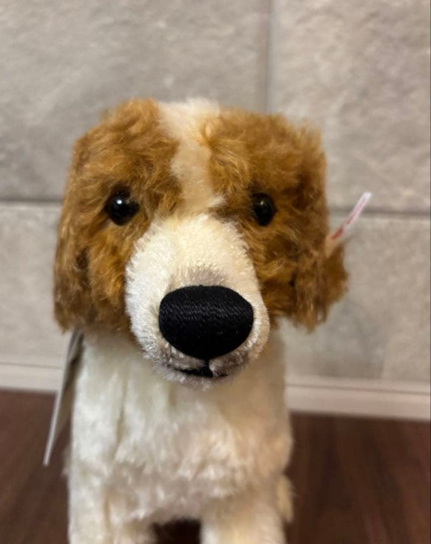 12/16迄　シュタイフ　Steiff コーイケルホンディエ