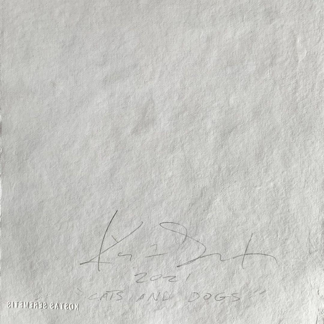kostas seremetis CATS AND DOGS スヌーピーkaws