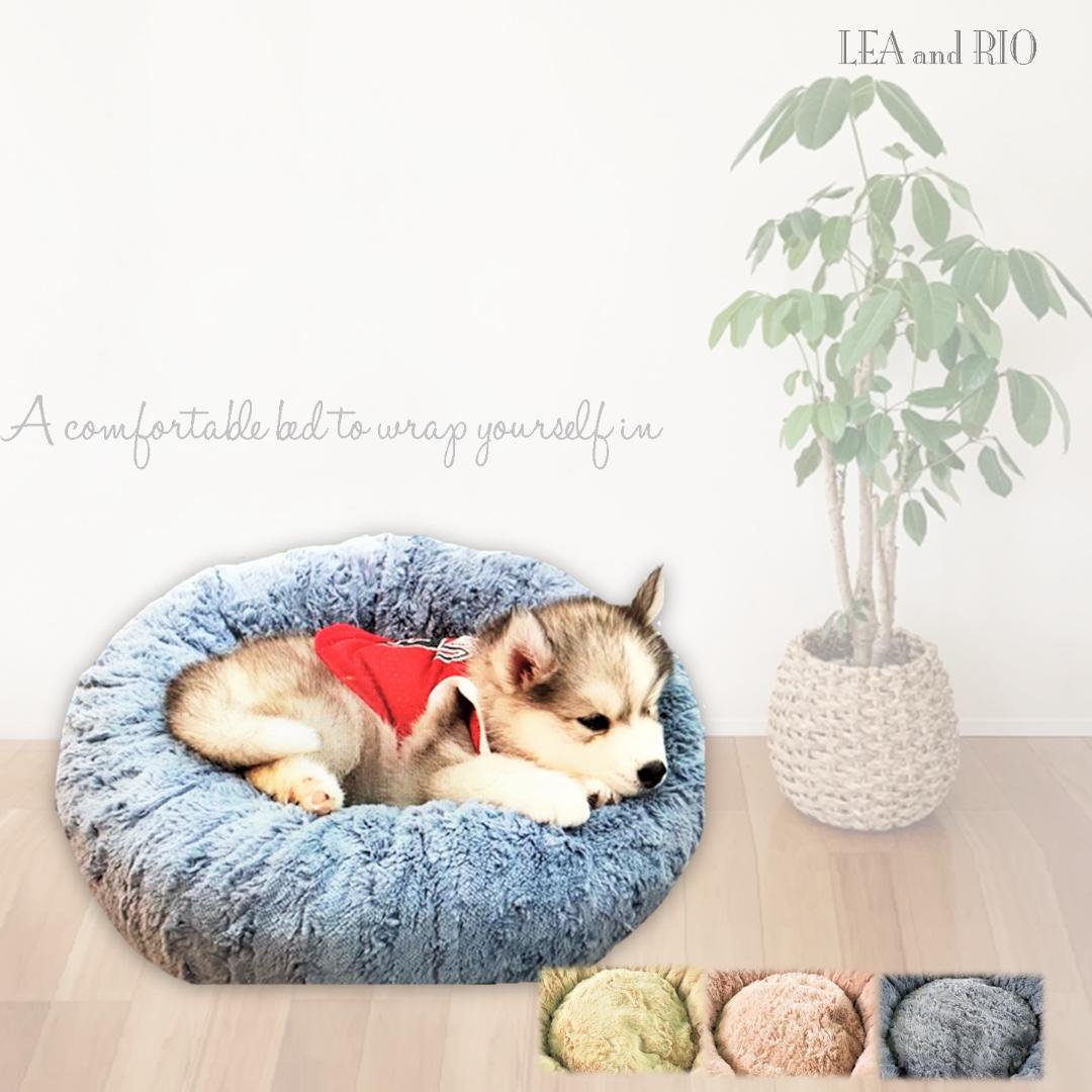 ロイヤルカナン ダックスフンド 12kg 訳あり