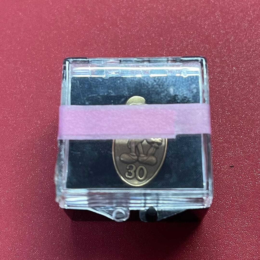 【非売品】ディズニー　勤続30年　キャストピン　アワードピン　ジミニークリケット