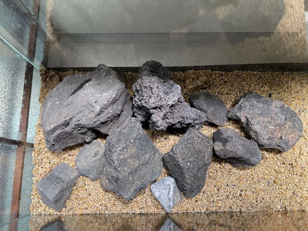 ADA 山水石 苔石