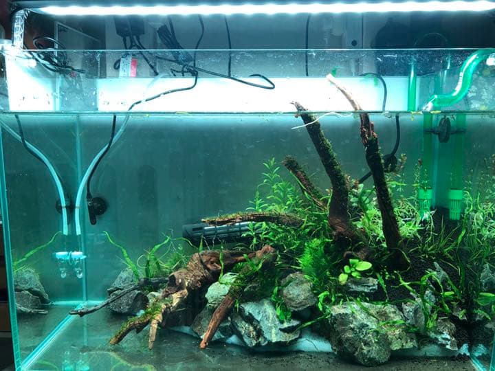 限定】chihiros LED A2 60cm水槽用 本物 NormajeaN様専用 Chihiros A2