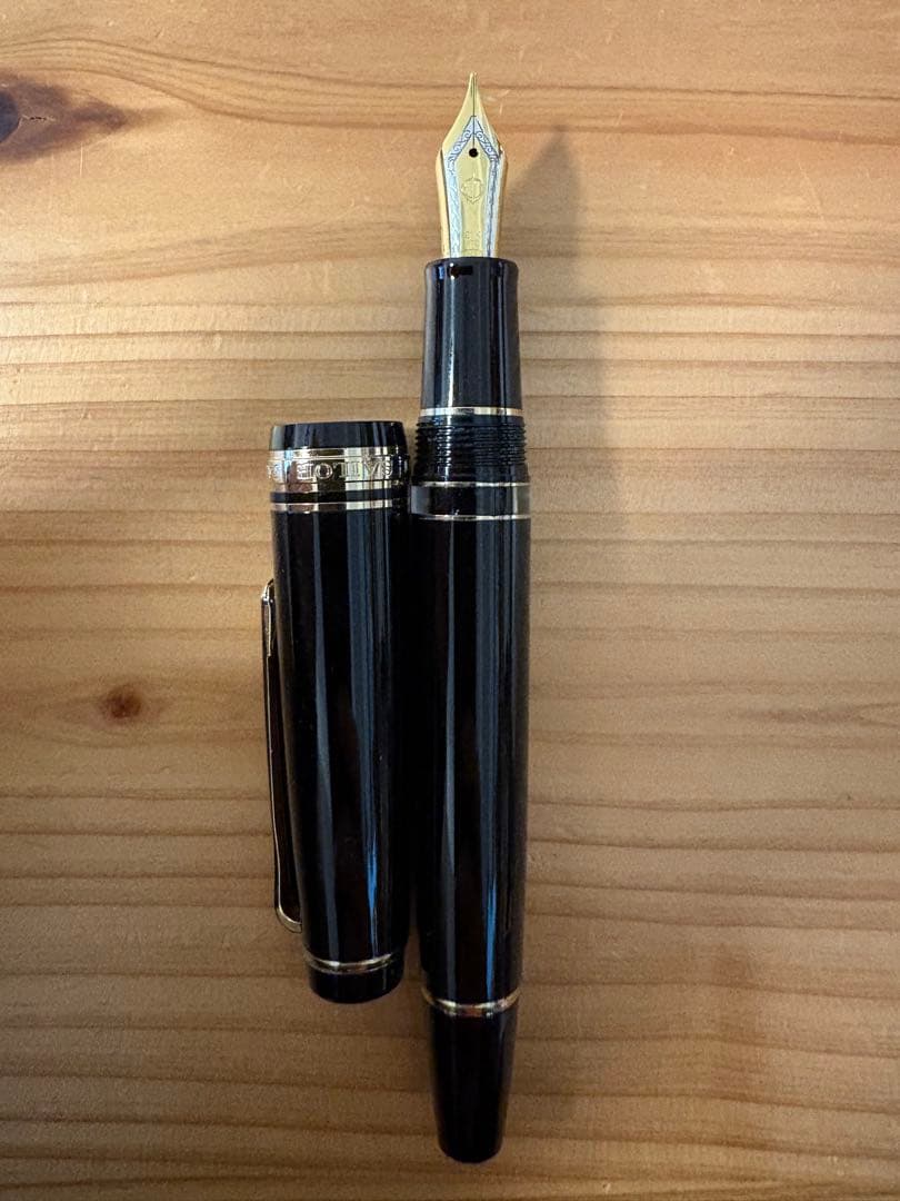 セーラー万年筆 プロフェッショナルギア レアロ M（中字）