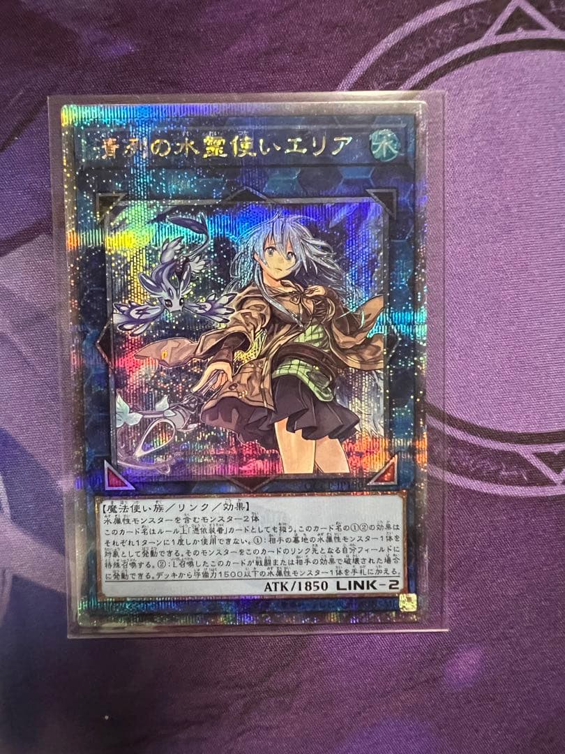 日焼けアリヴァイスシュバルツ戦国BASARAブシロードシュリンク付き