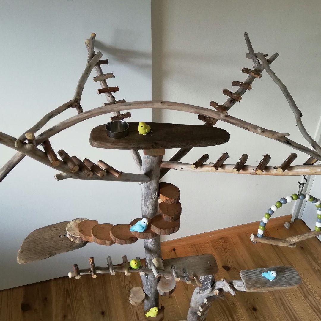 バードアスレチックジム大型 ㉝ 天然木 自然木 流木 止まり木 インコ