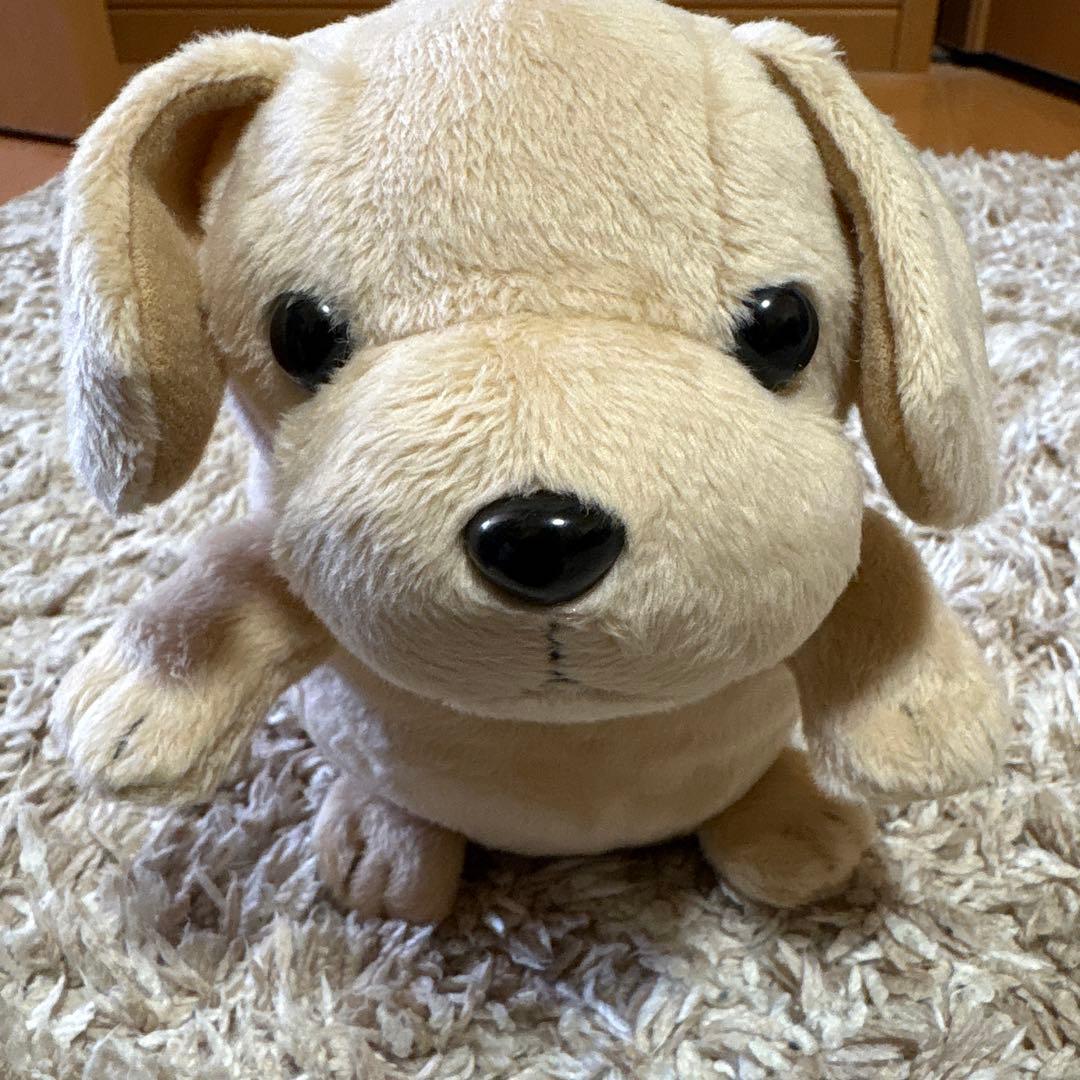 こえマネわんちゃん