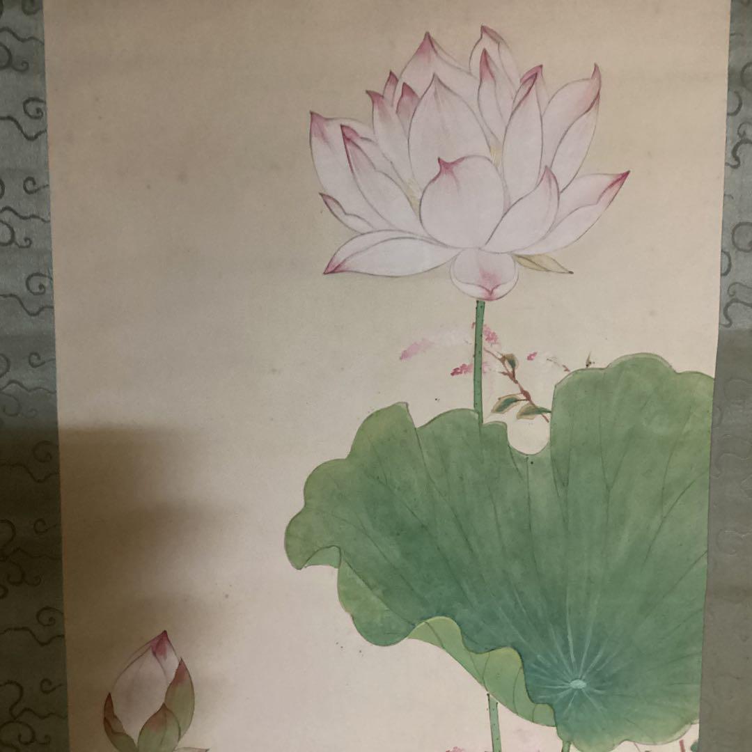 O-13. 蓮下の鷺 白鷺と蓮の花 掛軸 尚文作