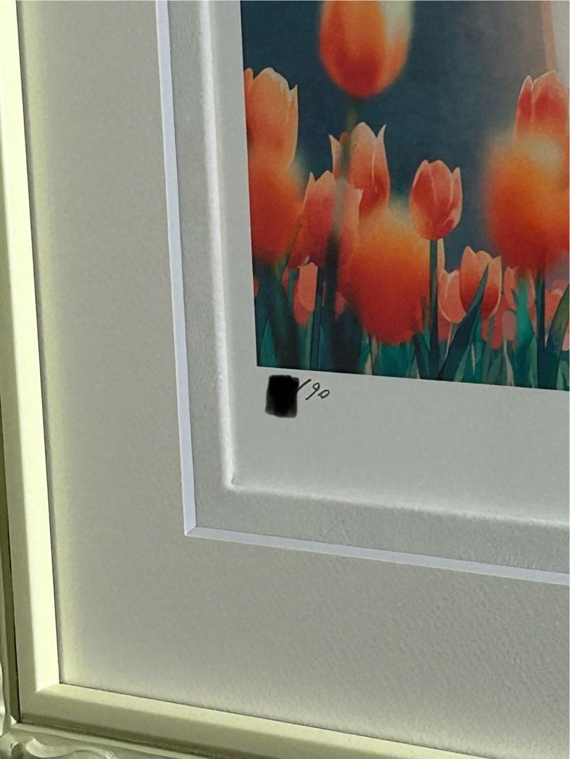 Hiten 版画 DX版 ADOLESCENCE アールビバン アールジュネス