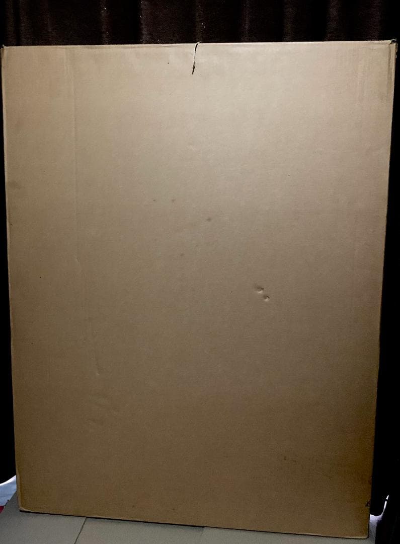 尾崎豊 山と太陽と川