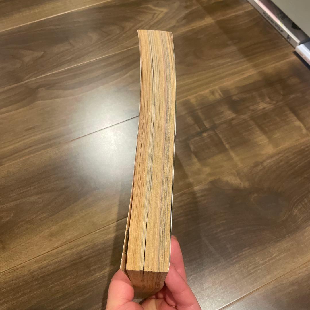 プリンセス 昭和58年9月特大号 秋田書店 昭和レトロ