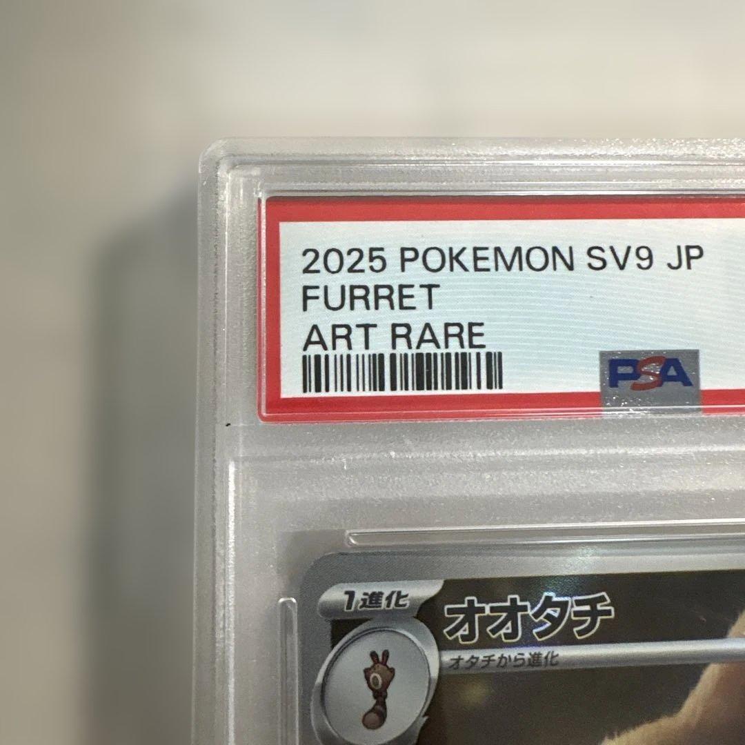 AR オオタチ PSA10