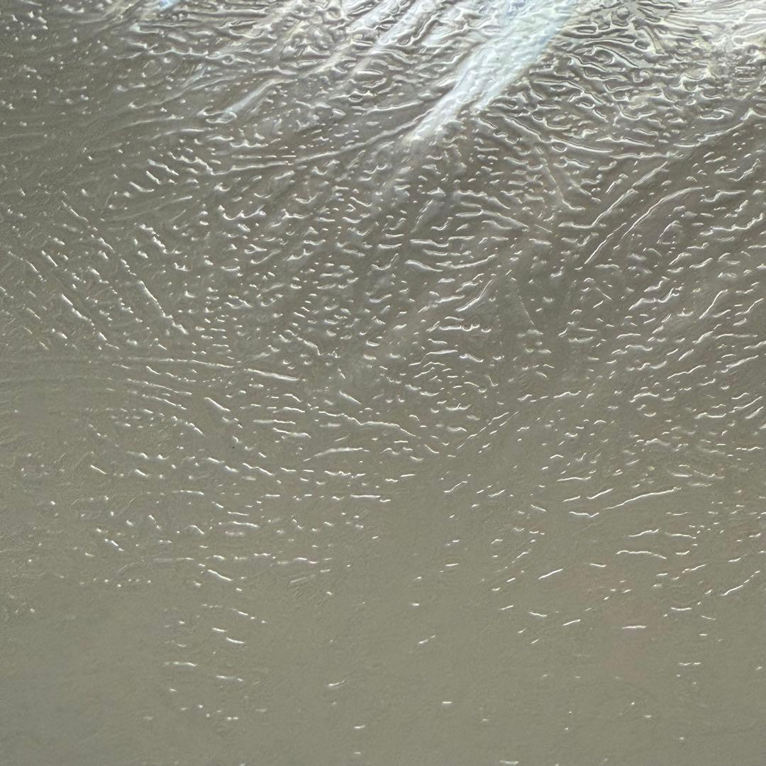 ⭐️専用です⭐️グラスアート限定フィルム10枚セット