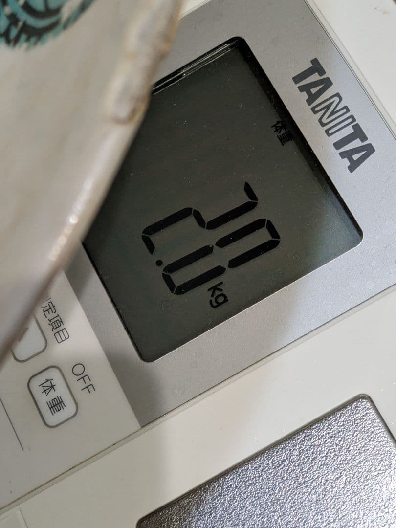 ♢中国陶磁器 呉須赤絵 明時代末〜清時代初期 福建省 漳州窯