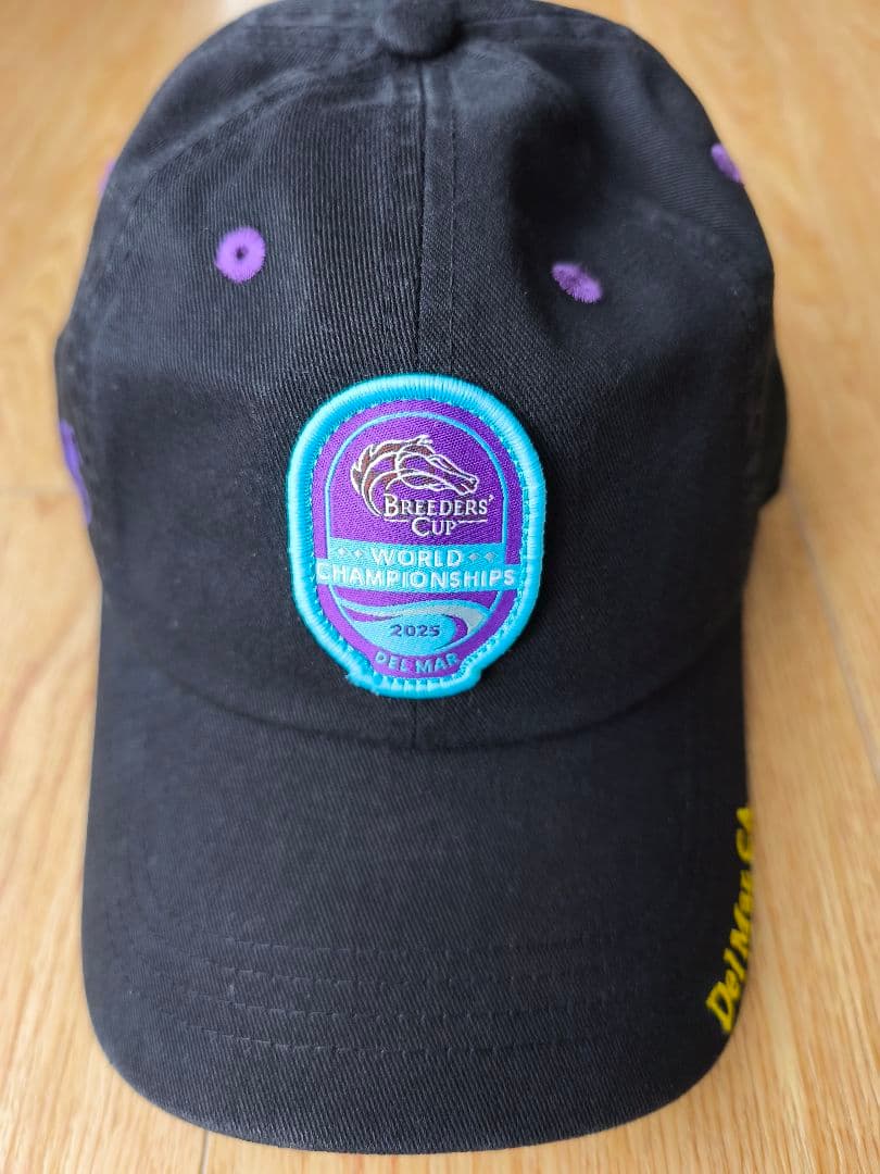 ブリーダーズカップ 2025 フォーエバーヤング キャップ 競馬 アメリカ