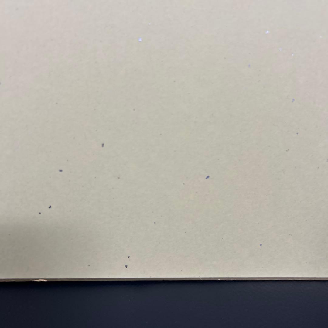 ヒカルの碁 サイン色紙 複製 ヒカル＆佐為＆アキラ 小畑健