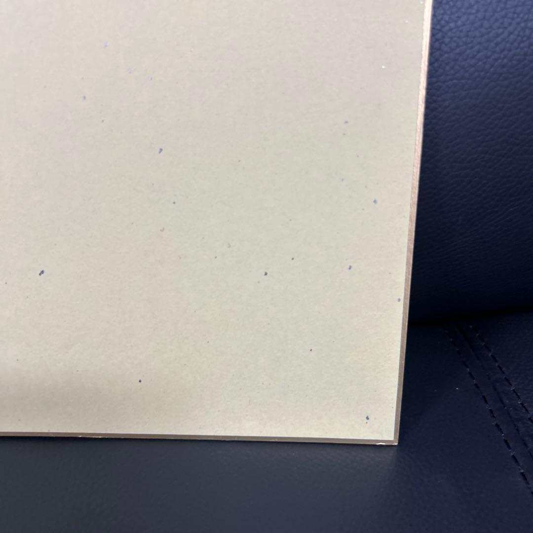 ヒカルの碁 サイン色紙 複製 ヒカル＆佐為＆アキラ 小畑健