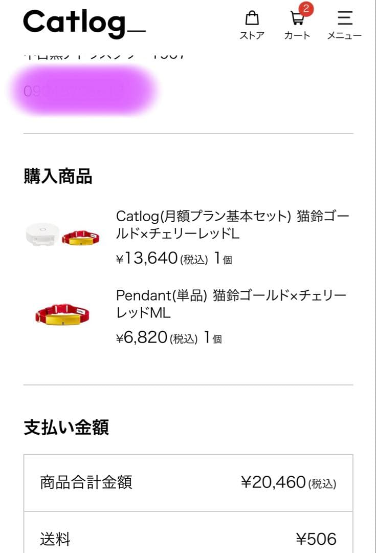 未使用 catlog home ＋超美品 pendant 2本 基本セット