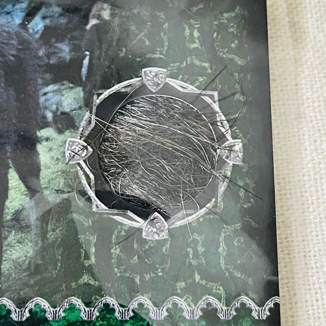 ハリーポッターとアズカバンの囚人 クリーチャーカード シリウス・ブラック