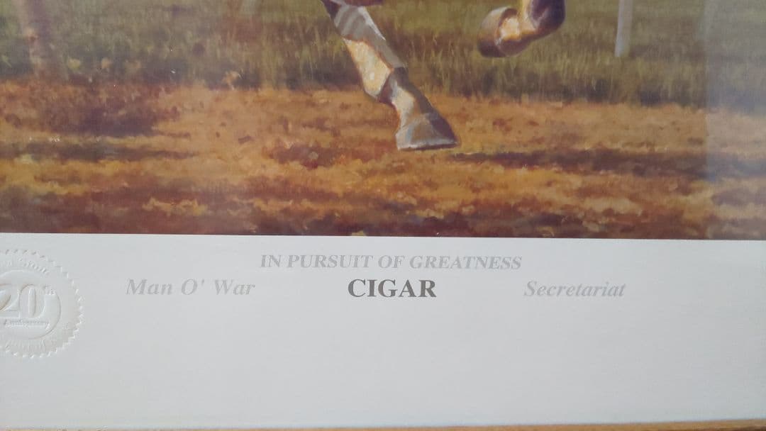 希少FredStoneの絵画95,96年アメリカ年度代表馬Cigar(シガー)