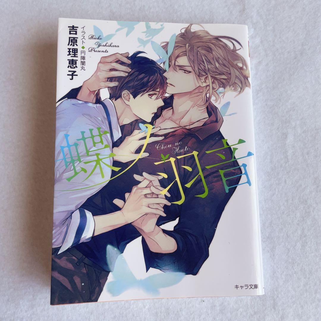 二重螺旋 吉原理恵子 BL 二重螺旋 番外編漫画版 秘蜜 他