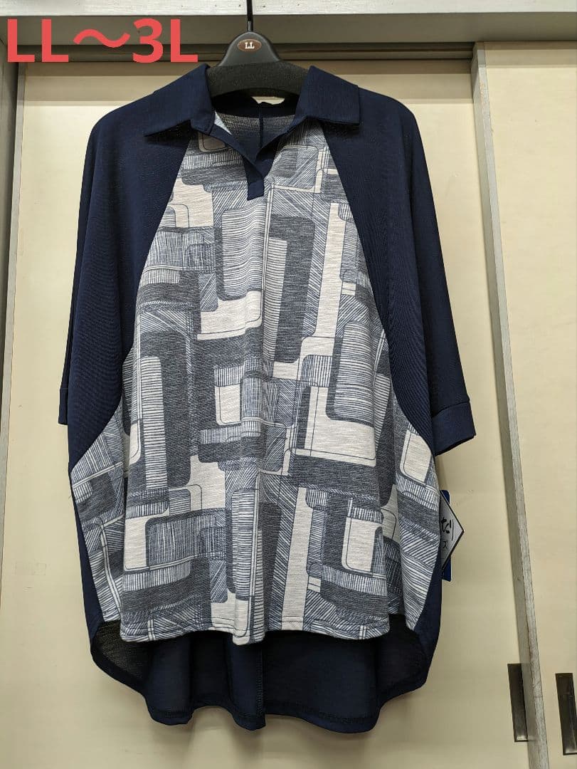 BBM 2013 ミスキャンパス 紀ノ岡杏奈 直筆サインカード /120 2025年