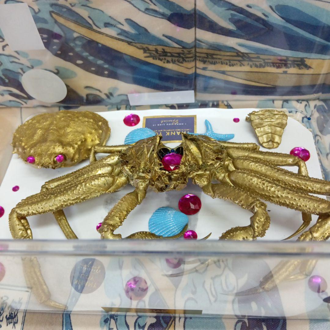 松葉蟹[セコガニ］ゴールドカラーオリジナル全長23センチ立体リアル